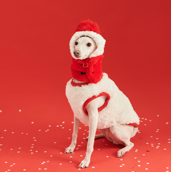 d213b93b-7519-4b39-a484-c60acac91eca.png Cozy Italian Greyhound Fleece Vest, Lightweight Layer