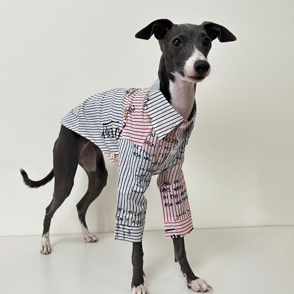 Fashionable Italian Greyhound Cotton Shirt, Breathable Style