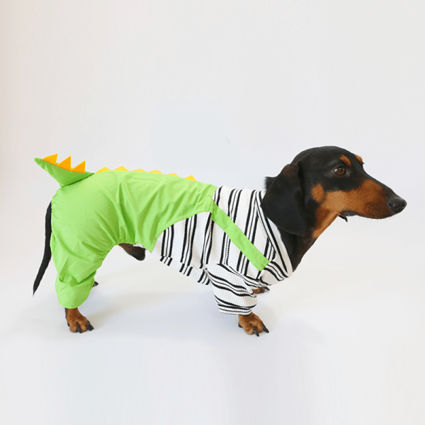 Dinosaur Dachshund Dog Onesies, Playful Design