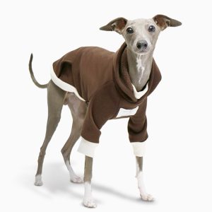 Cozy Fleece Italian Greyhound Hoodie, Classic Design