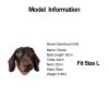d9108693-92d0-45ef-8a17-1ca0b87888a1.png Denim Patchwork Dachshund Hoodie Jacket, Trendy Style