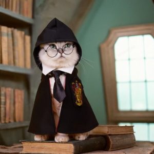 e363d879-89d6-4d24-b772-8190bd8e687a.jpg Enchanting Cat Magic Wizard Cape, Whimsical Costume