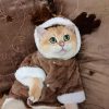Cozy Christmas Teddy Dog Hoodie, Warm and Playful