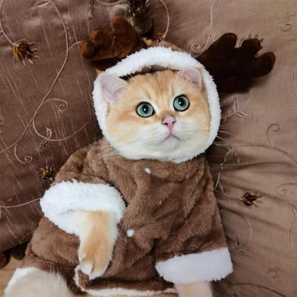 Cozy Christmas Teddy Dog Hoodie, Warm and Playful