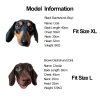 e6a3c4dc-3dfa-4a23-bbef-19518904c81e.png Festive Dachshund Dog Hoodie, Cheerful Holiday Style