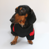 eaf42e24-2fe5-4d51-bc1e-1b9add56d2d6.png Festive Dachshund Dog Hoodie, Cheerful Holiday Style