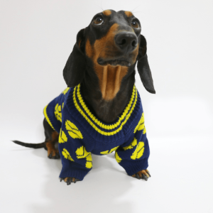 Cozy Knitted Dachshund Dog Sweater, Timeless Style