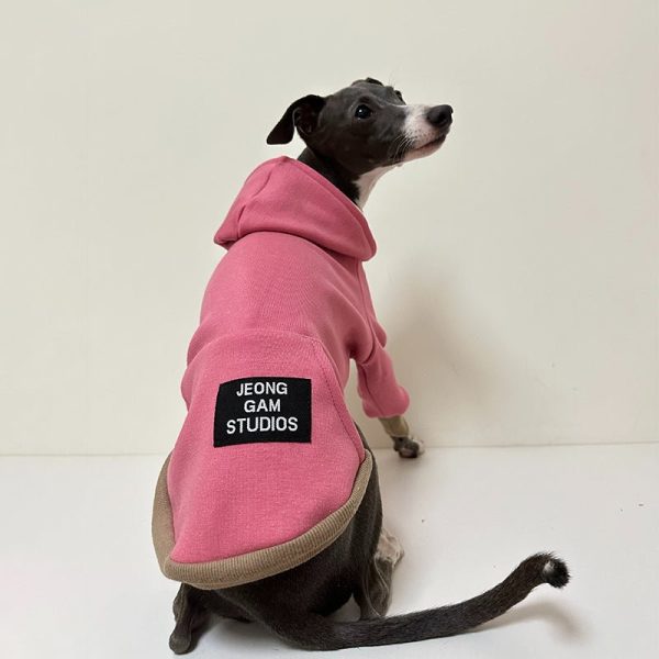 fd7b4e64-7d99-474c-80ce-c7856b221220.jpg Cozy Greyhound Dog Hoodie, Simple and Warm