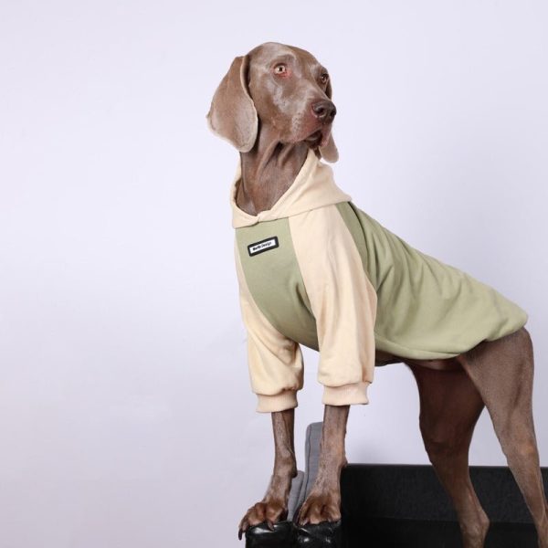 Cozy Casual Big Dog Hoodie for Everyday Comfort
