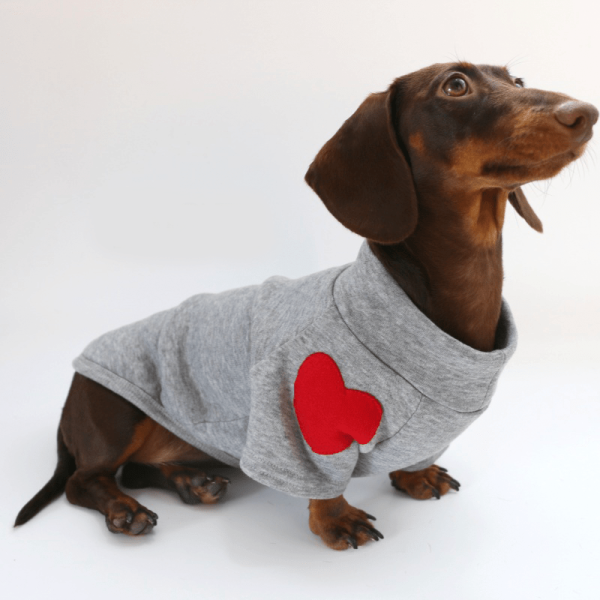 fe7fcf02-b8c2-4263-893e-a129ea1e8fb9.png Festive Dachshund Dog Hoodie, Cheerful Holiday Style